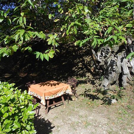 Fattoria Il Praticino Villa Castelfranco di Sopra Bagian luar foto