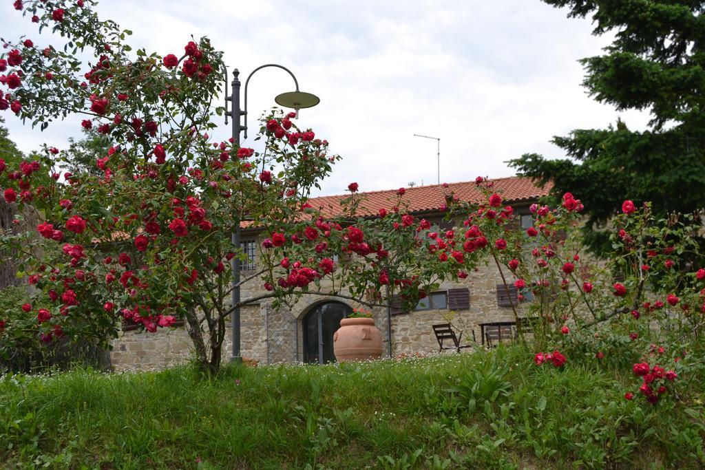 Fattoria Il Praticino Villa Castelfranco di Sopra Bagian luar foto