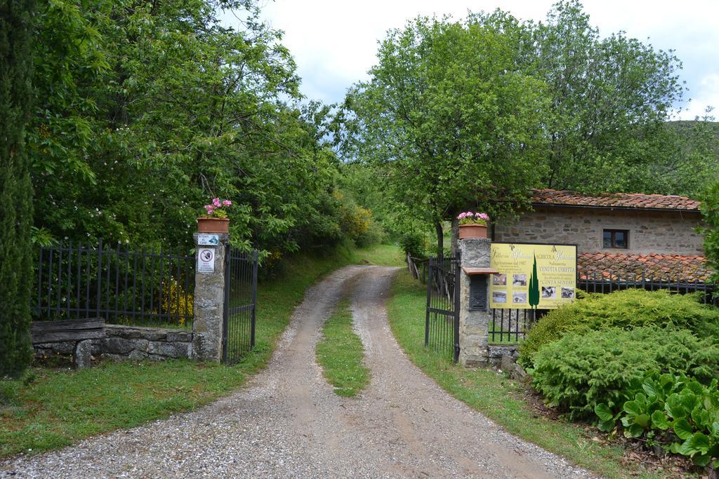 Fattoria Il Praticino Villa Castelfranco di Sopra Bagian luar foto