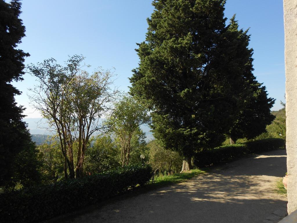 Fattoria Il Praticino Villa Castelfranco di Sopra Bagian luar foto
