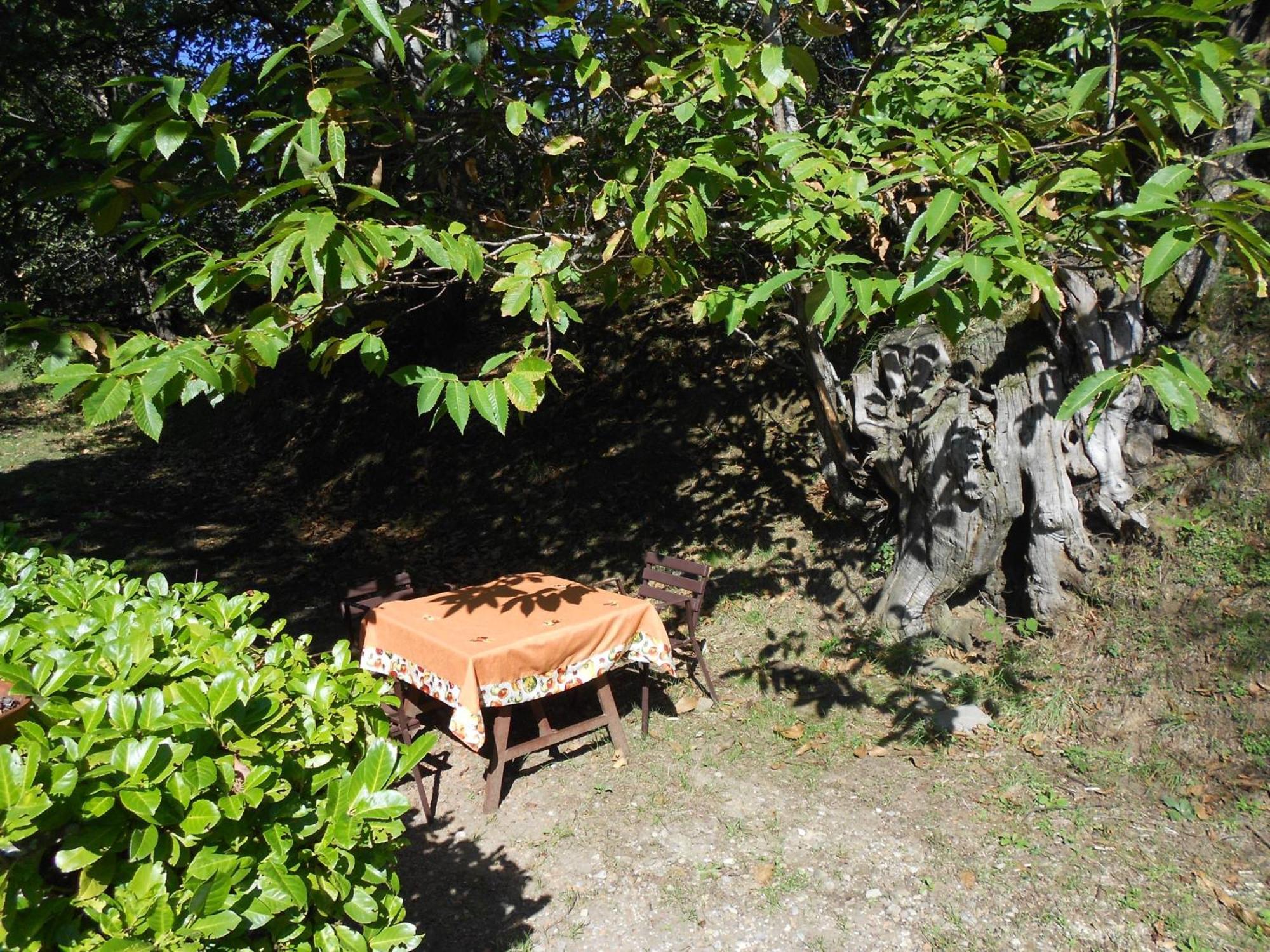Fattoria Il Praticino Villa Castelfranco di Sopra Bagian luar foto